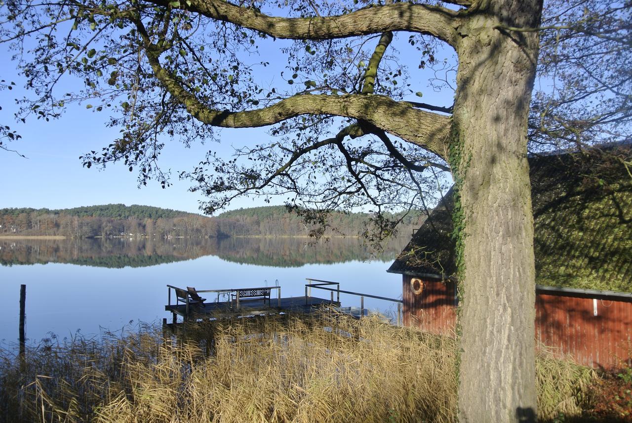 Seehotel Lindenhof Lychen Eksteriør bilde